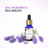 the beauty co India French Lavender Essential Oil For Rejuvenation